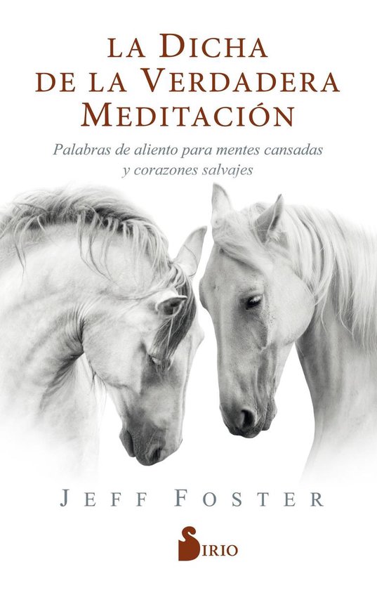 La dicha de la verdadera meditación - cover