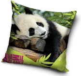 Animal Planet Panda - Sierkussen Kussen 40 x 40 cm inclusief vulling