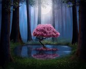 Schilderen op nummer Boom in het bos 40x50