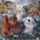 3D  wenskaart - konijntjes - Trendzz - 16 x16 cm