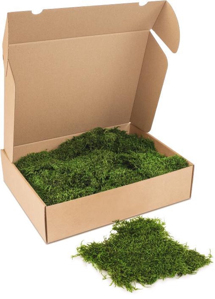 Kleine doos platmos - kleur mos: Forest Green (voor o.a. decoratie, mosschilderij of moswand).