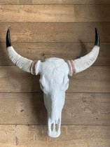 Skull Buffel Schedel - Skull - Wanddecoratie - Muurdecoratie - Tuindecoratie - Serre Decoratie - 68 cm breed