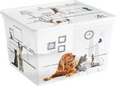 Kis Pets C-box Cube - Opbergbox - 27 Liter - 34x40xh25cm - (Set van 6) En Yourkitchen E-kookboek - Heerlijke Smulrecepten