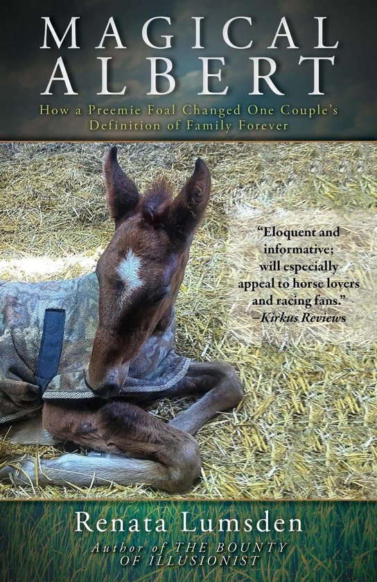 Magical Albert - cover