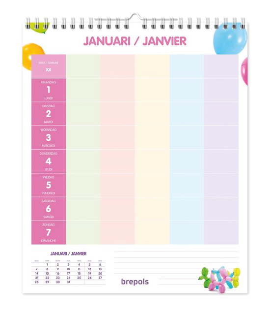 delen Jumping jack uitvegen Brepols Familie Kalender 2021 • Handig Weekoverzicht • 5 kolommen • 25 x 30  cm | bol.com