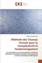 Méthode des Champs Virtuels pour la viscoplasticité et l'endommagement