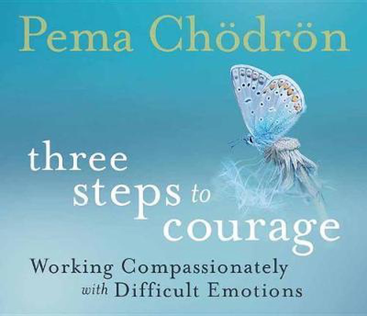 Three Steps to Courage - Pema Chodron