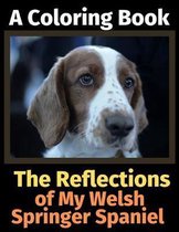 The Reflections of My Welsh Springer Spaniel