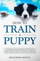 Puppy Training- How to Train a Puppy