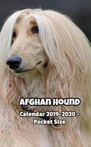 Afghan Hound Calendar 2019-2020 - Pocket Size