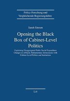 Opening the Black-Box of Cabinet-Level Politics
