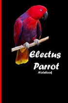 Electus-Parrot Notebook: Beautiful notebook with bird motive. 6''x9'' inch