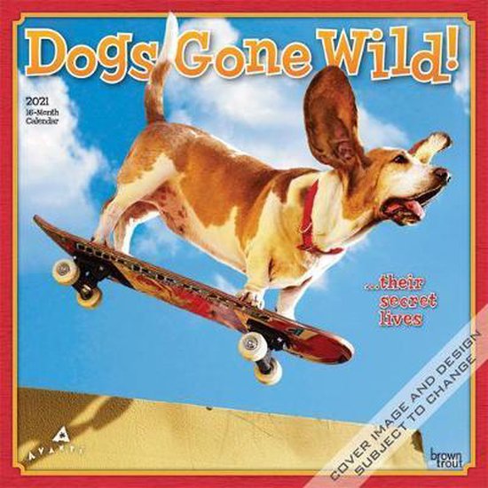 Avanti Dogs Gone Wild 2021 Calendar