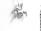 Elegant zilver paardje, compleet met collier van 42 cm