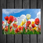 Peinture sur toile Happy Tulips