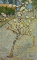 Vincent van Gogh, Perenboompje in bloei, 1888 op canvas, afmetingen van het schilderij zijn 60 X 100 CM