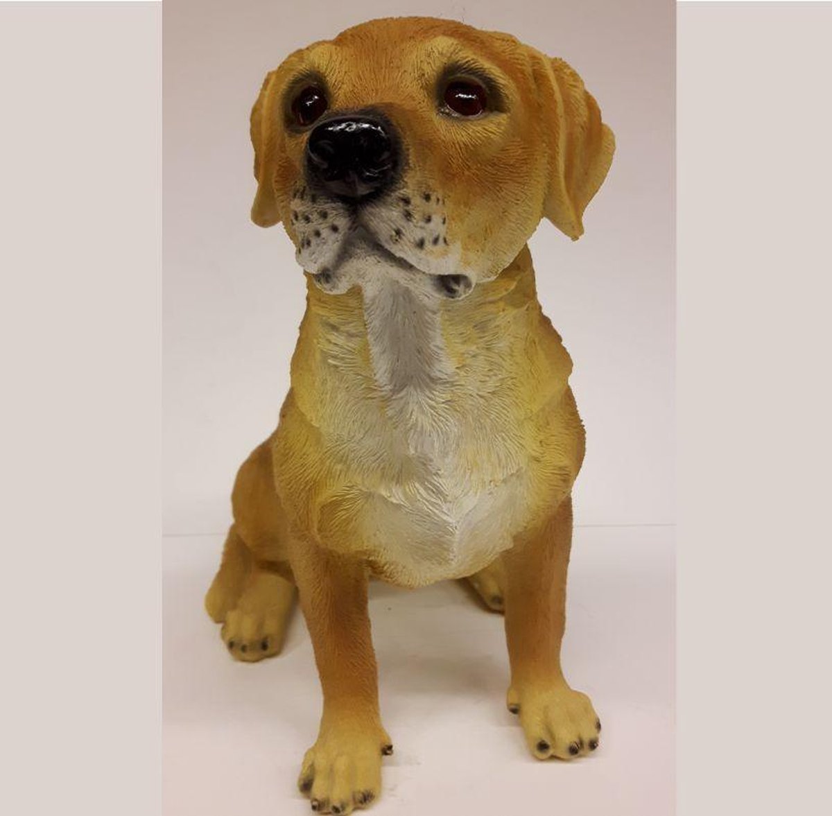 Beeldje blonde Labrador 22 cm hoog
