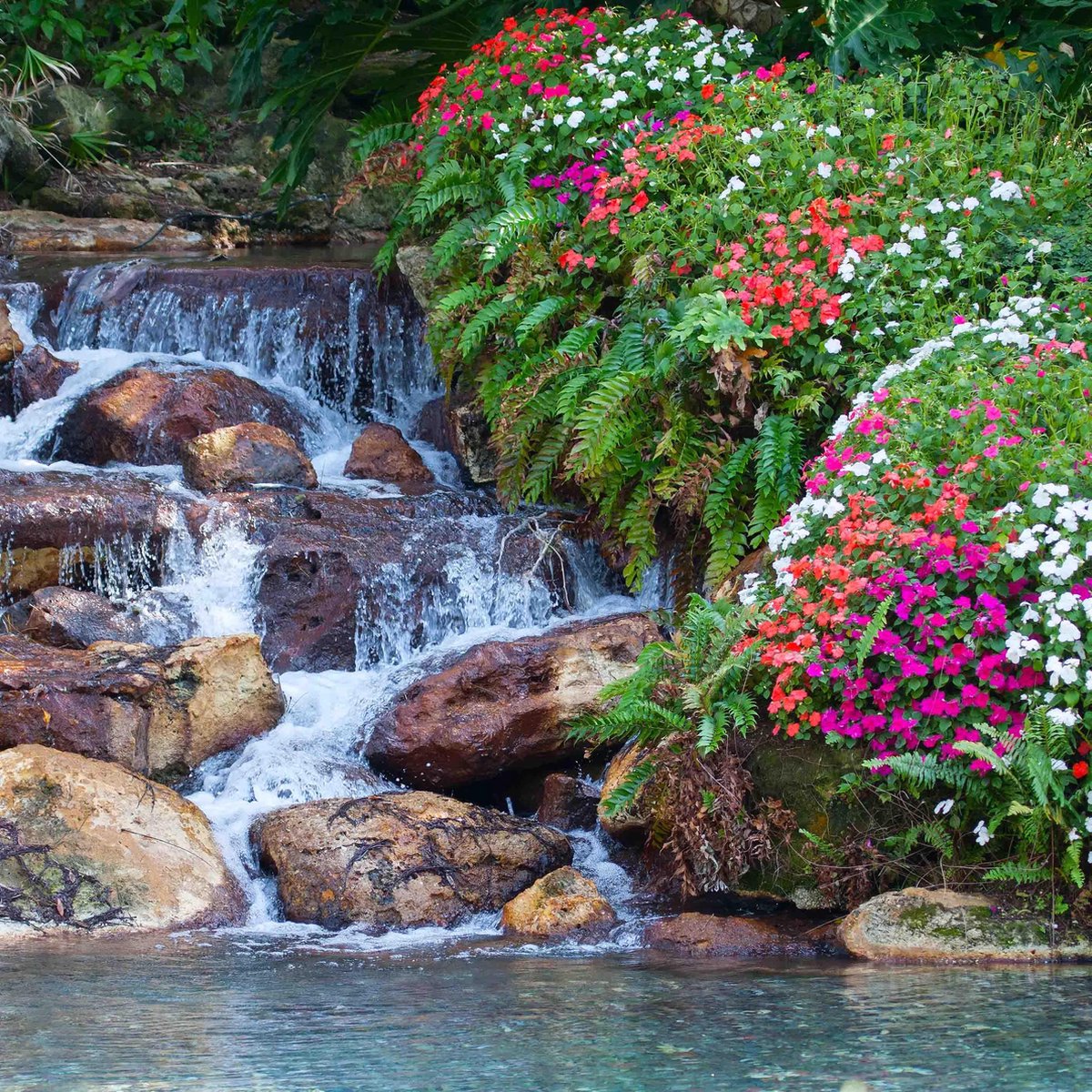 Tuinposter Kleine waterval met bloemen en planten 100cm x