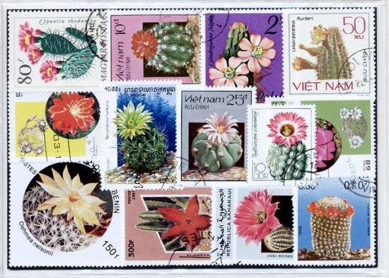 Servië 25 verschillende Postzegels (Postzegels voor verzamelaars Servië 25 verschillende Postzegels (Postzegels voor verzamelaars