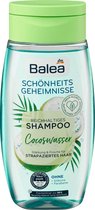 DM Balea Beauty secrets shampoo kokoswater (250 ml)