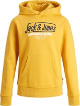 JACK&JONES JUNIOR JJELOGO SWEAT HOOD 2 COL 20/21 NOOS JR Jongens Trui - Maat 176