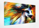Braveprint - Schilderij - Paard Schilderij. % Uitgerekt Het Hoge Kwaliteit. Muurhanger Geïnstalleerd. - Multicolor - 70 X 100 Cm