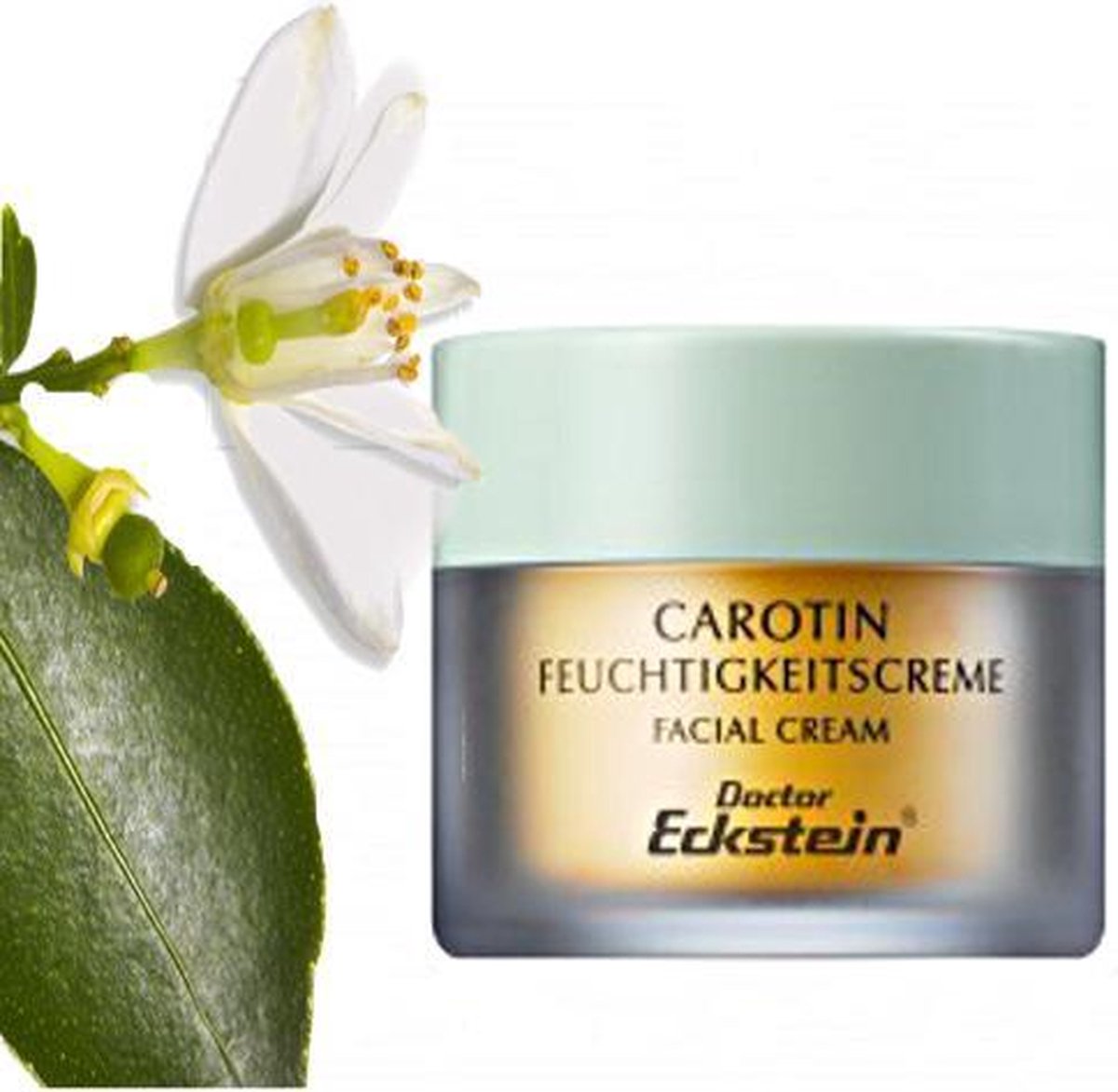 Dr Eckstein - Carotin Feuchtigkeitscrème 50 ml | bol.com