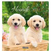Honden / Hunde Briefkaart Kalender 2021 (formaat 16x17)