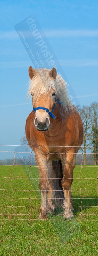 Deurposter 90x205 cm - Deursticker Vuurtoren van List in de duinen