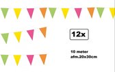 12x Vlaggenlijn multi 10 meter - vlaglijn festival feest party verjaardag thema feest kleur