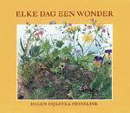 Cover van het boek 'Elke dag een wonder' van H. Dijkstra-Hesselink