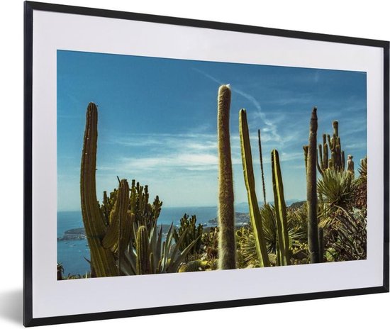 Foto in lijst - Cactussen aan de kust van de Middellandse Zee fotolijst 60x40 cm - Poster in lijst (Wanddecoratie woonkamer / slaapkamer) / Zee en Strand Foto in lijst - Cactussen aan de kust van de Middellandse Zee fotolijst 60x40 cm - Poster in lijst (Wanddecoratie woonkamer / slaapkamer) / Zee en Strand