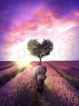 Paintd Diamond Painting Volwassenen Kinderen - Olifant Hart Love Landschap - 40x50 - Vierkante steentje