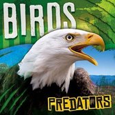 Predators Birds