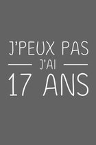 J'peux Pas J'ai 17 ans: 17 ans Joyeux Anniversaire