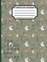 The Llama Looks For Class