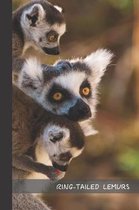 Ring - Tailed Lemurs: small lined Lemur Notebook / Travel Journal to write in (6'' x 9'') 120 pages