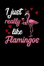 I Just Really Like Flamingos: Flamingo Bird Notebook