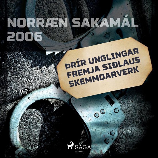 Þrír unglingar fremja siðlaus skemmdarverk - cover