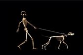 Allernieuwste Canvas Schilderij Wandelende Skeletten Mens en Hond - Poster - Kunst - 60 x 90 cm - Zwart Wit
