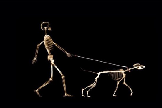 Allernieuwste Canvas Schilderij Wandelende Skeletten Mens en Hond - Poster - Kunst - 60 x 90 cm - Zwart Wit