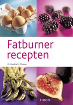 Fatburner Recepten