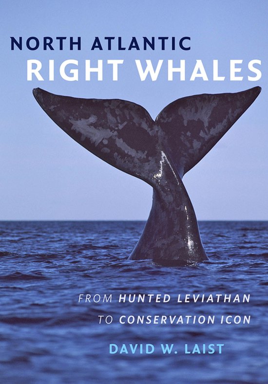 North Atlantic Right Whales - cover