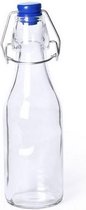 Glazen fles 20 cm (260 ml) 145597