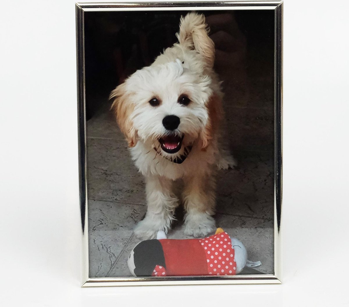 AL - Fotolijst - Zilver - Bol - 20 x 25 cm