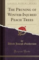The Pruning of Winter-Injured Peach Trees (Classic Reprint)