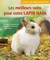 Les meilleurs soins pour votre lapin nain | Linke... | Book