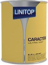 Linitop Caractère Ultra Mat muren & plafonds - Vitamine C 2.5L - Binnen