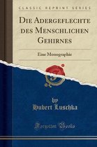 Die Adergeflechte Des Menschlichen Gehirnes