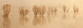 Schilderij - Bomen in een meer, beige, panorama,  2 maten